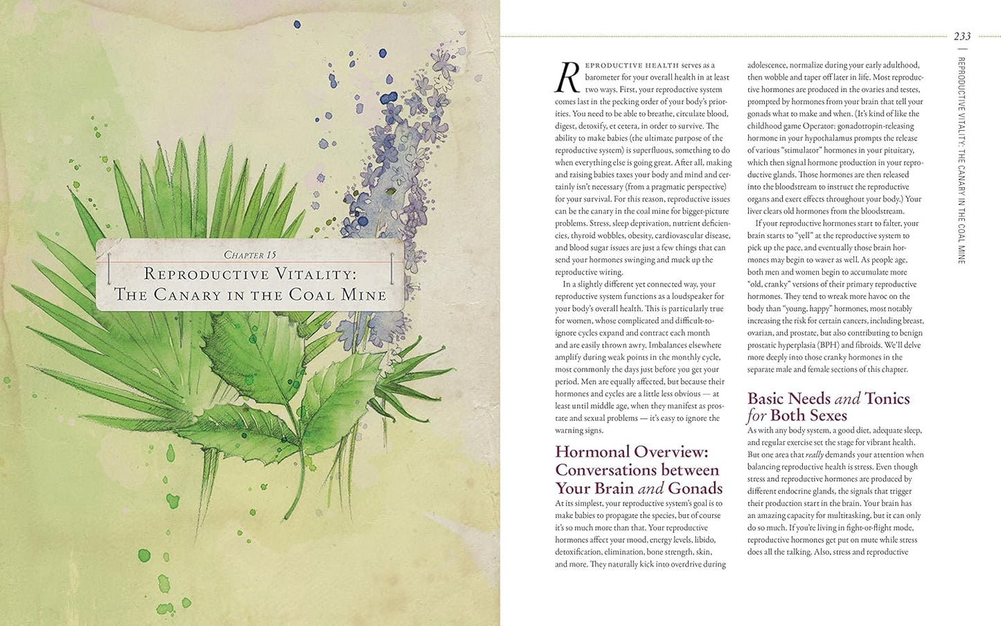 herbal-guide-to-holistic-self-care-for-achieving-body-balance-16