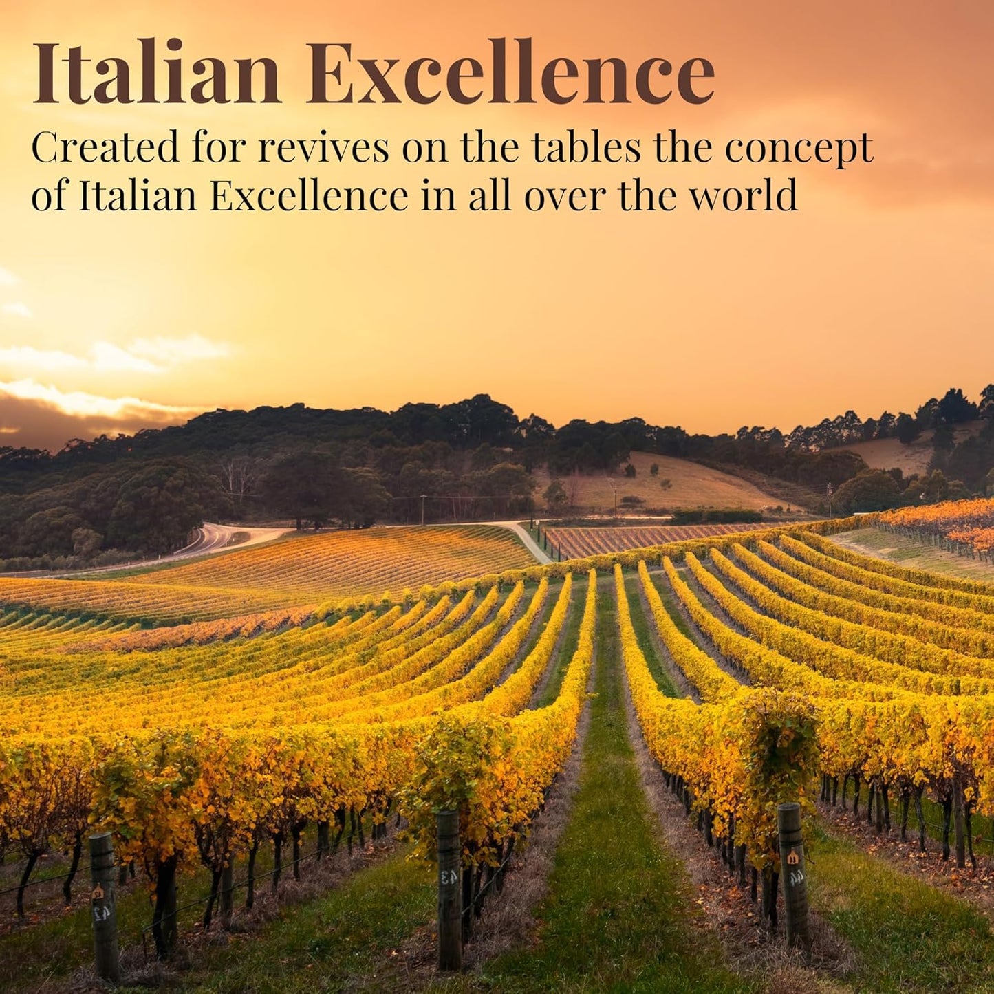 premium-italian-white-balsamic-vinegar-of-modena---845-floz---ideal-for-salads-fish-meat-and-marinades---imported-from-italy-4