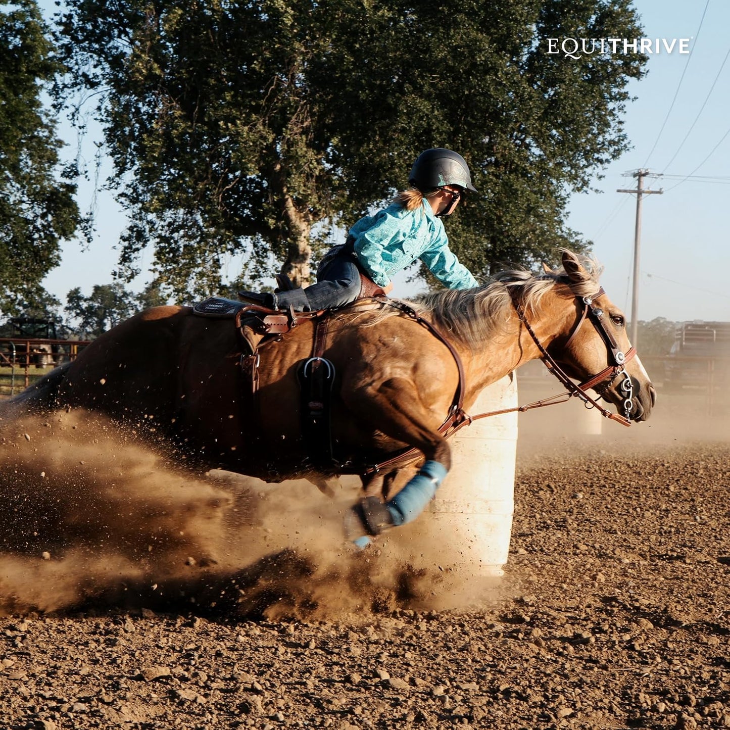 Equithrive Electrolyte Pellets & Mineral Supplement for Horses - 4 lbs, 20 Day Supply - Ideal for Training & Competition - Espot.com.au