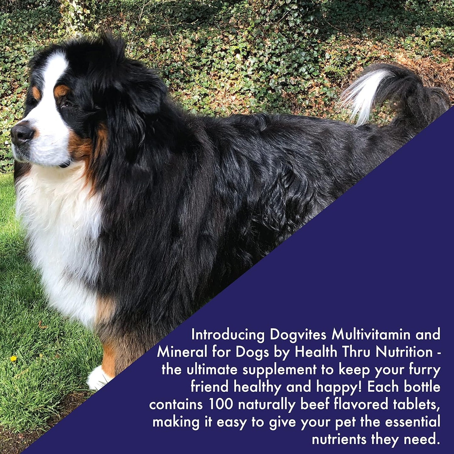 beef-flavored-dog-multivitamins-pack-of-100-chewable-tablets-by-health-thru-nutrition-4