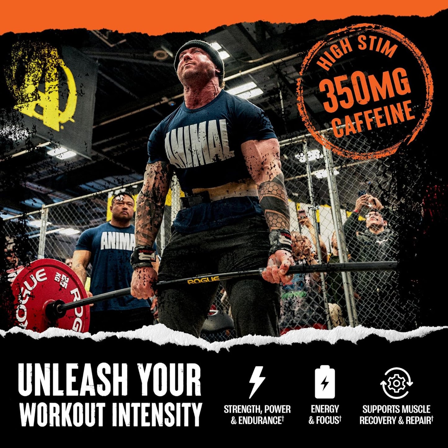 Blue Raspberry Animal Fury Pre Workout Powder - Energy & Focus Supplement with BCAAs, Caffeine, Beta-Alanine - Nitric Oxide Booster - Preworkout for Men & Women - 30 Servings - Espot.com.au