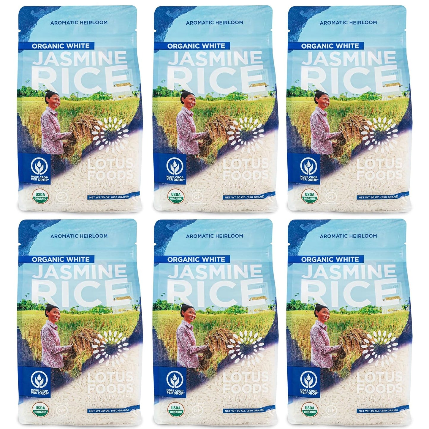 organic-white-jasmine-rice---long-grain-sticky-rice-gluten-free-usda-organic-vegan---30-oz-pack-of-6-1