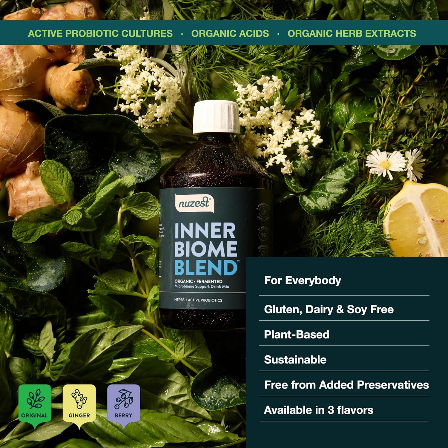 nuzest-inner-biome-blend-liquid-drink-mix---prebiotic-probiotic-postbiotic---microbiome-support---8-microbiotic-cultures-19-fermented-herbs---vegan---organic---ginger-flavour---169-floz-7
