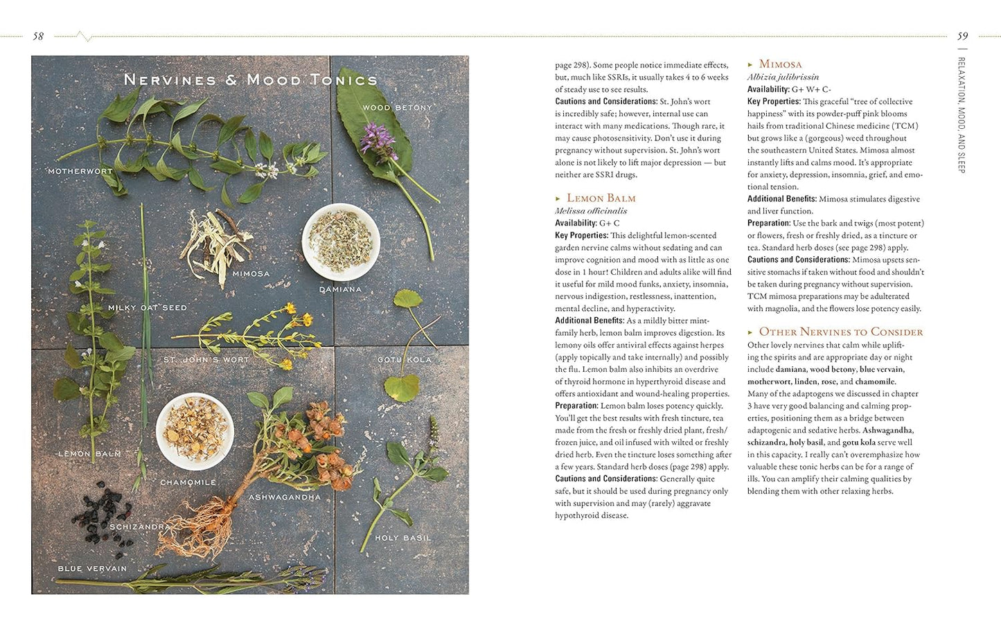 herbal-guide-to-holistic-self-care-for-achieving-body-balance-11