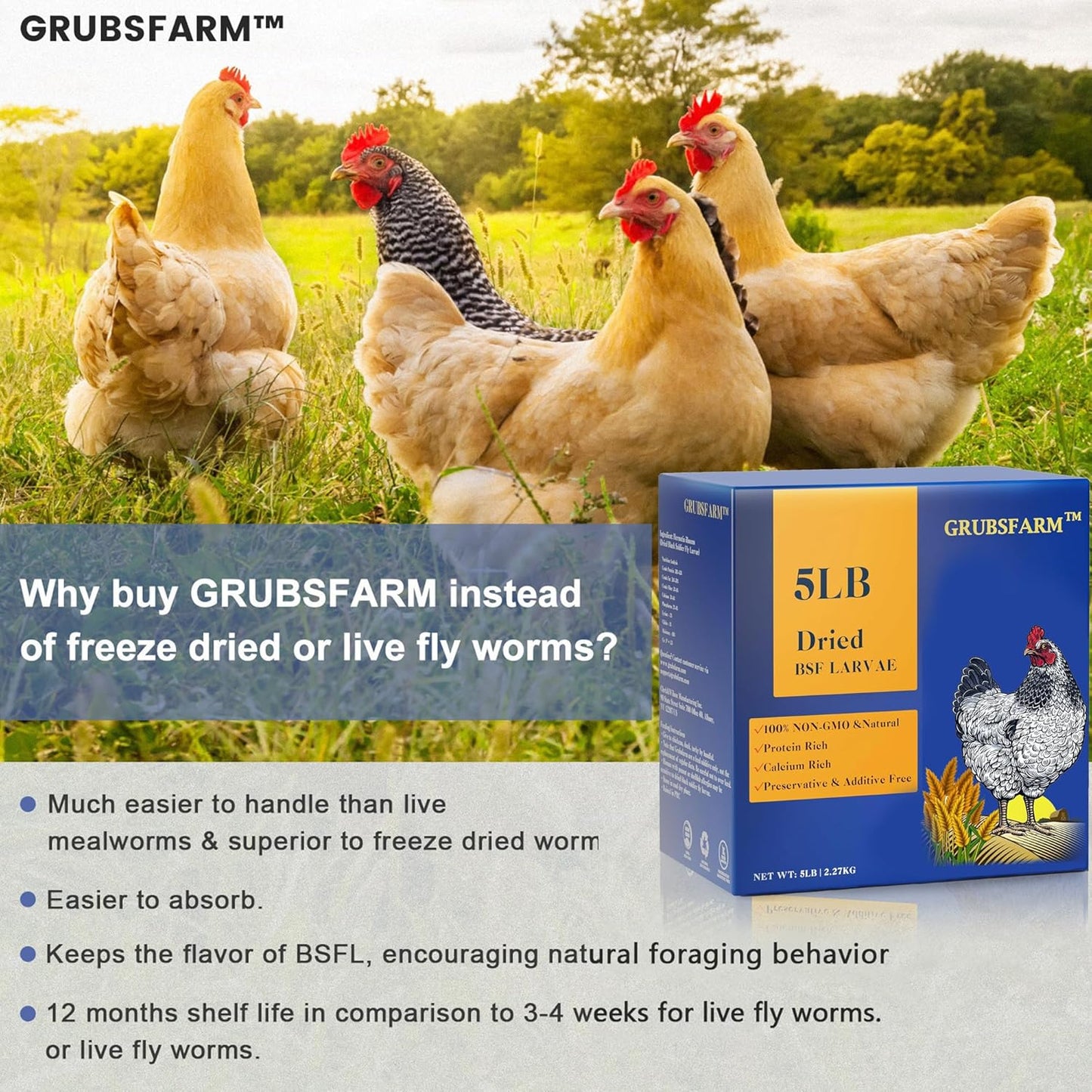 7lb-premium-chicken-treats-with-bsf-larvae---non-gmo-high-calcium---molting-laying-supplement-for-layer-hens-ducks---superior-to-dried-mealworms-5