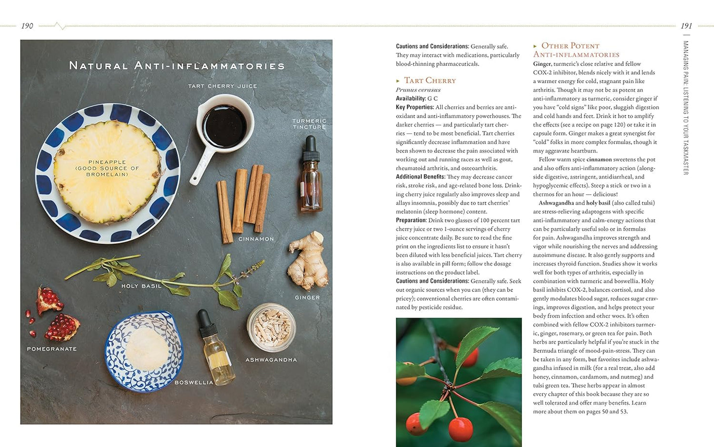 herbal-guide-to-holistic-self-care-for-achieving-body-balance-15