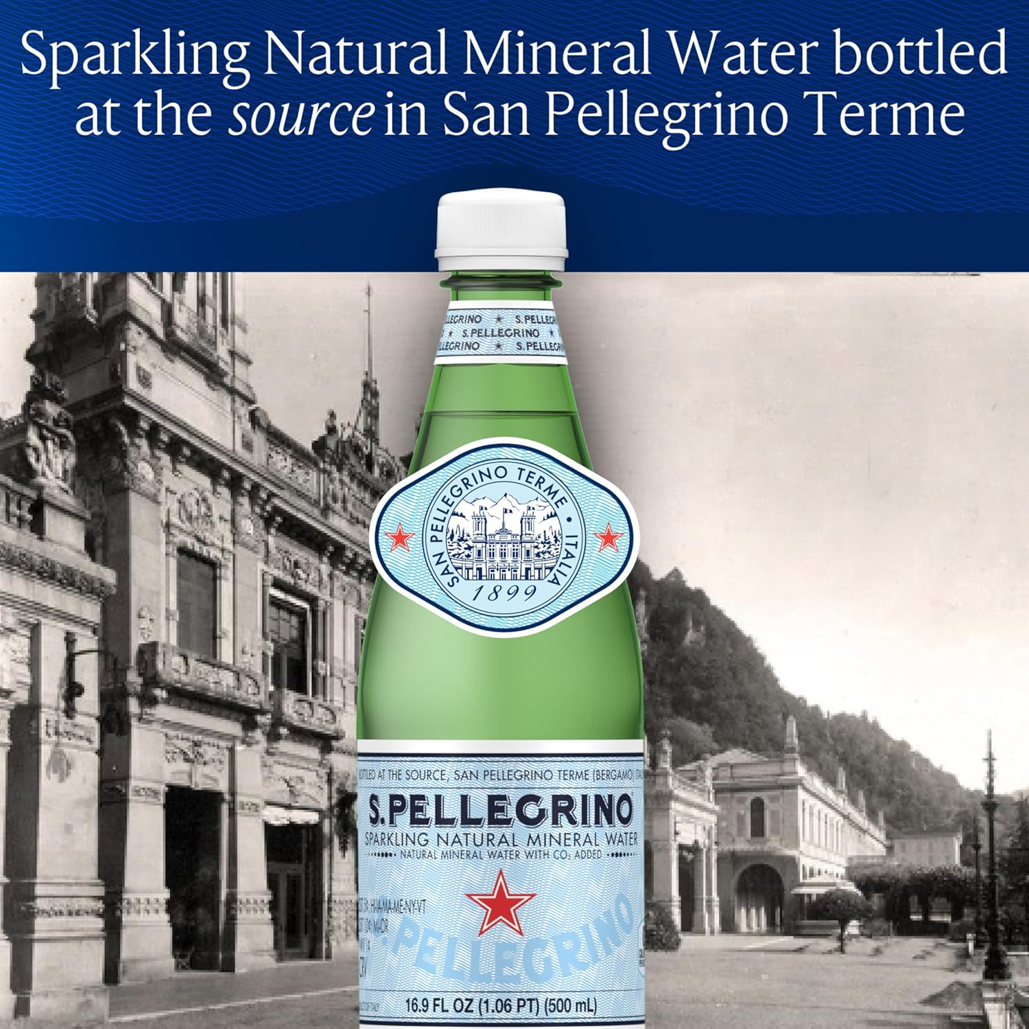 S.Pellegrino Sparkling Natural Mineral Water, 16.9 Fl Oz Plastic Bottles - Pack of 12 - Espot.com.au