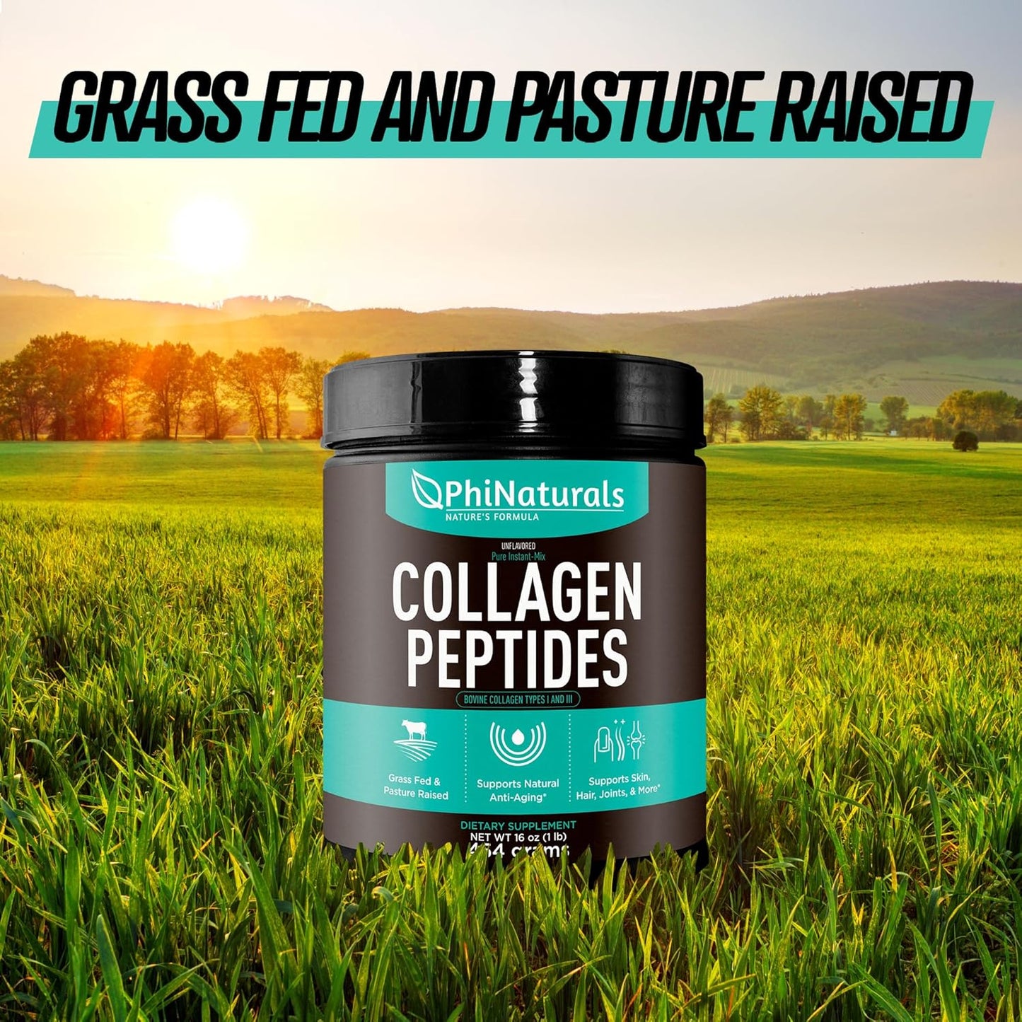 grass-fed-bovine-beef-collagen-peptides-powder---unflavored-hydrolyzed-supplement-for-men-and-women-by-phinaturals-5