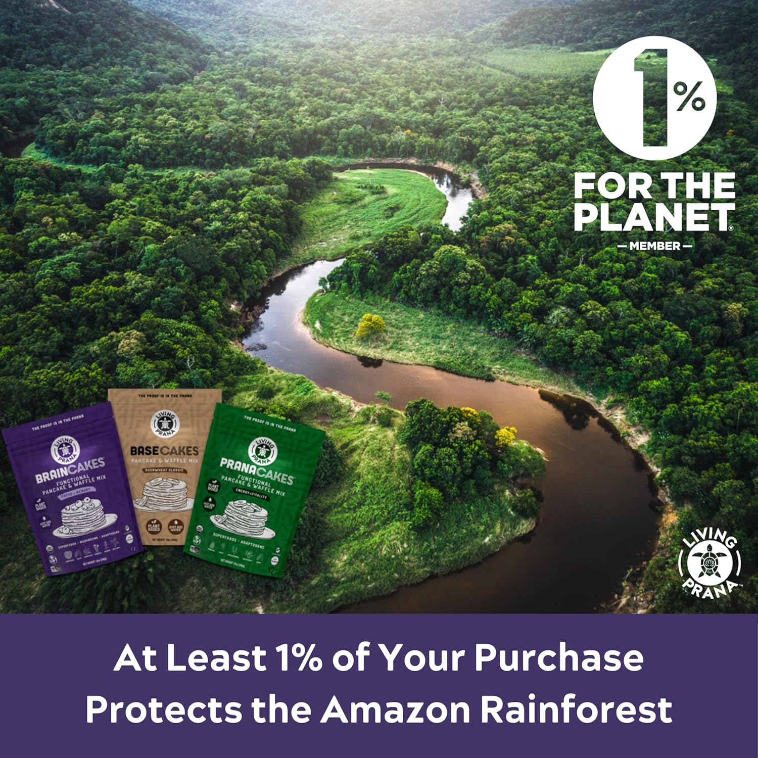 living-prana-braincakes-superfood-pancake-waffle-mix---organic-gluten-free-memory-focus-support---12oz-7