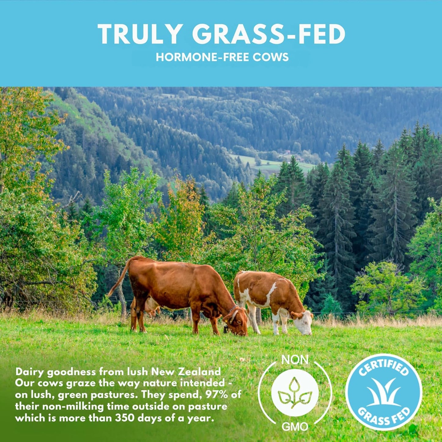 Organic Grass Fed Whey Isolate Protein Powder - Unflavored 28g Protein Powder, Hormone-Free, Non GMO - 1lb Pack - Espot.com.au