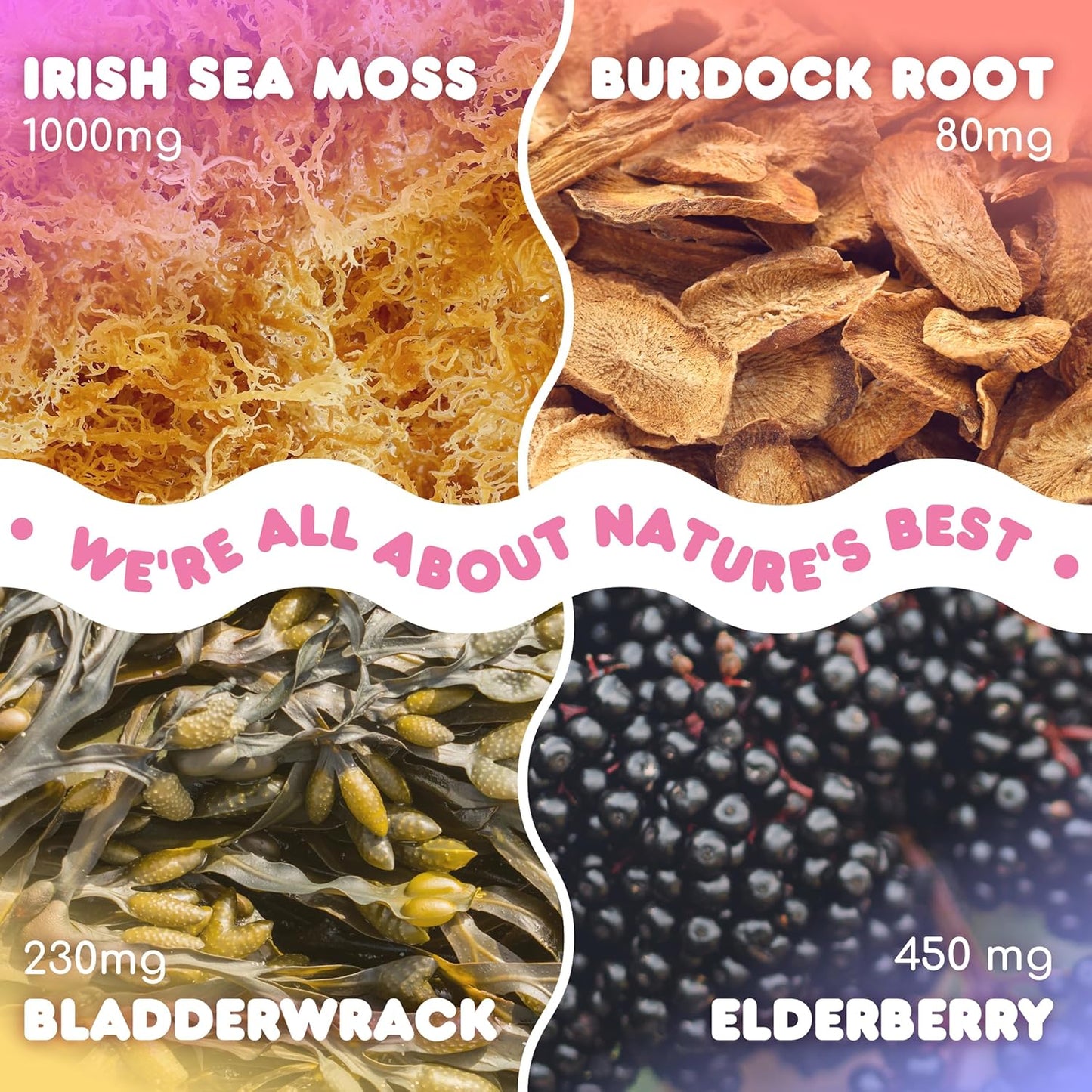 sea-moss-and-elderberry-gummy-supplement-for-immune-support---240-pieces-of-seamoss-gel-gummies-with-irish-sea-moss-elderberry-extract-burdock-root-and-bladderwrack-3