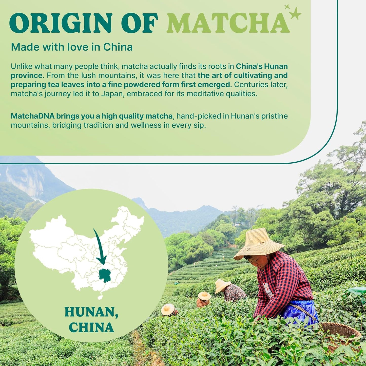 organic-sweetened-matcha-latte-mix---unprocessed-matcha-powder---ideal-for-cafe-style-tea-and-lattes---low-caffeine-content---42-oz-4