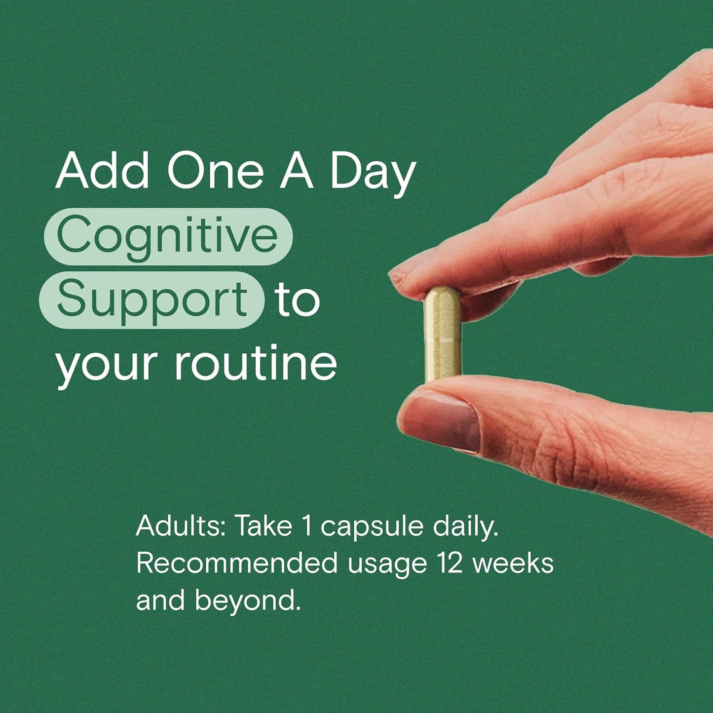 cognitive-performance-support-supplement-with-bacopa-rhodiola-holy-basil-for-men-and-women---30-capsules-6