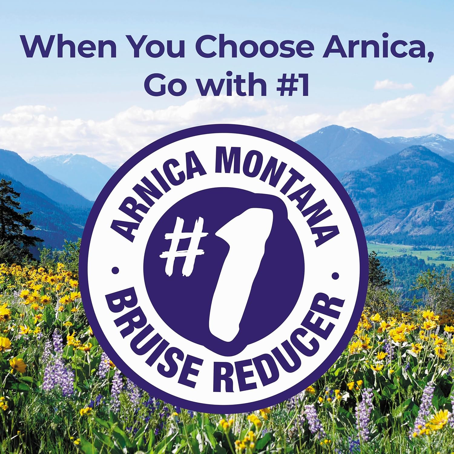 60-tablets-of-boiron-arnicare-bruise-for-pain-relief-swelling-and-bruise-discoloration-from-injuries-6