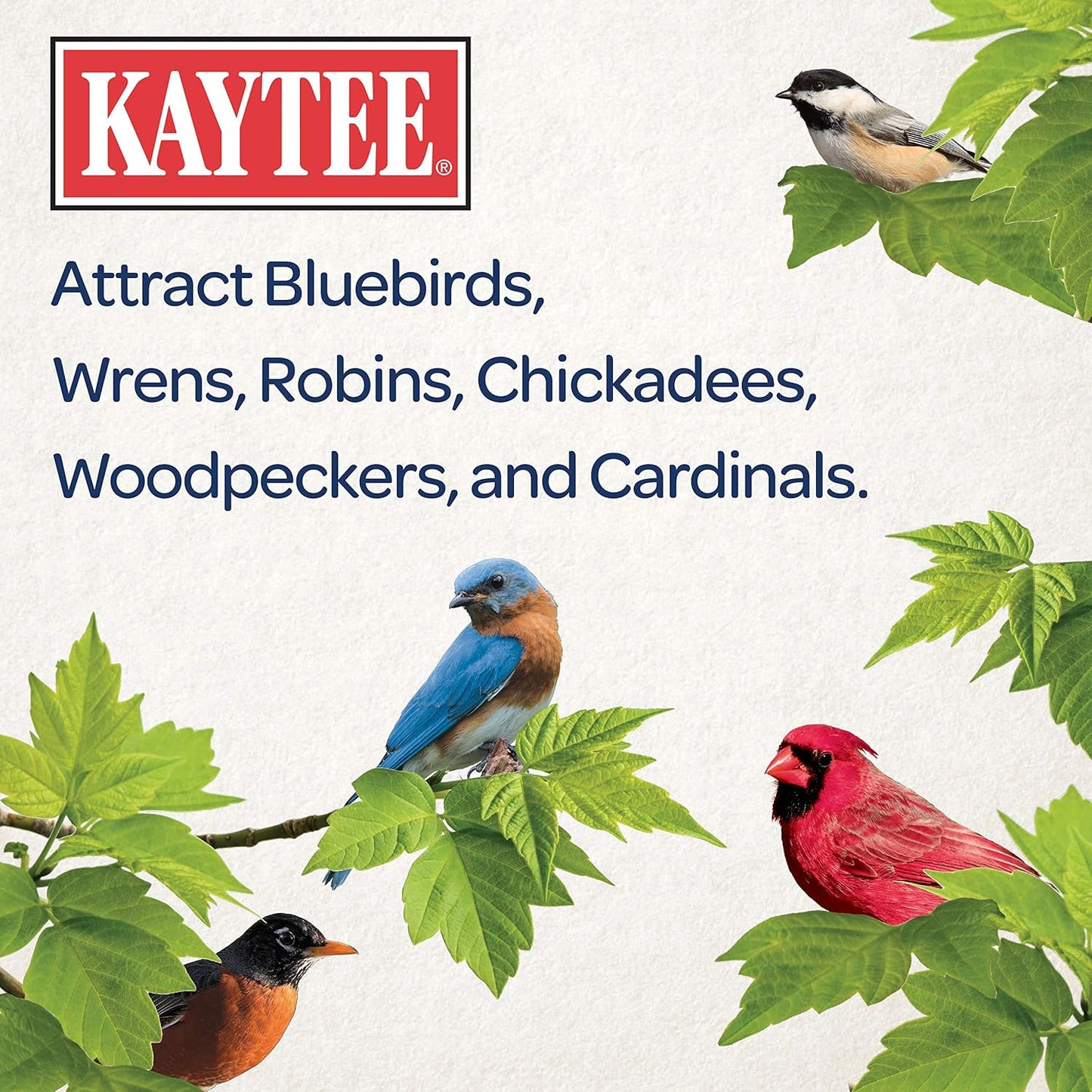 kaytee-wild-bird-food-mealworms-for-bluebirds-wrens-robins-chickadees-woodpeckers-cardinals-and-chickens---35-oz-5