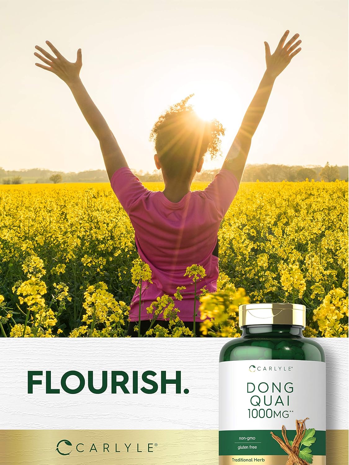 carlyle-dong-quai-capsules---1000mg---250-count---non-gmo-gluten-free-supplement---traditional-herb-for-womens-health-6