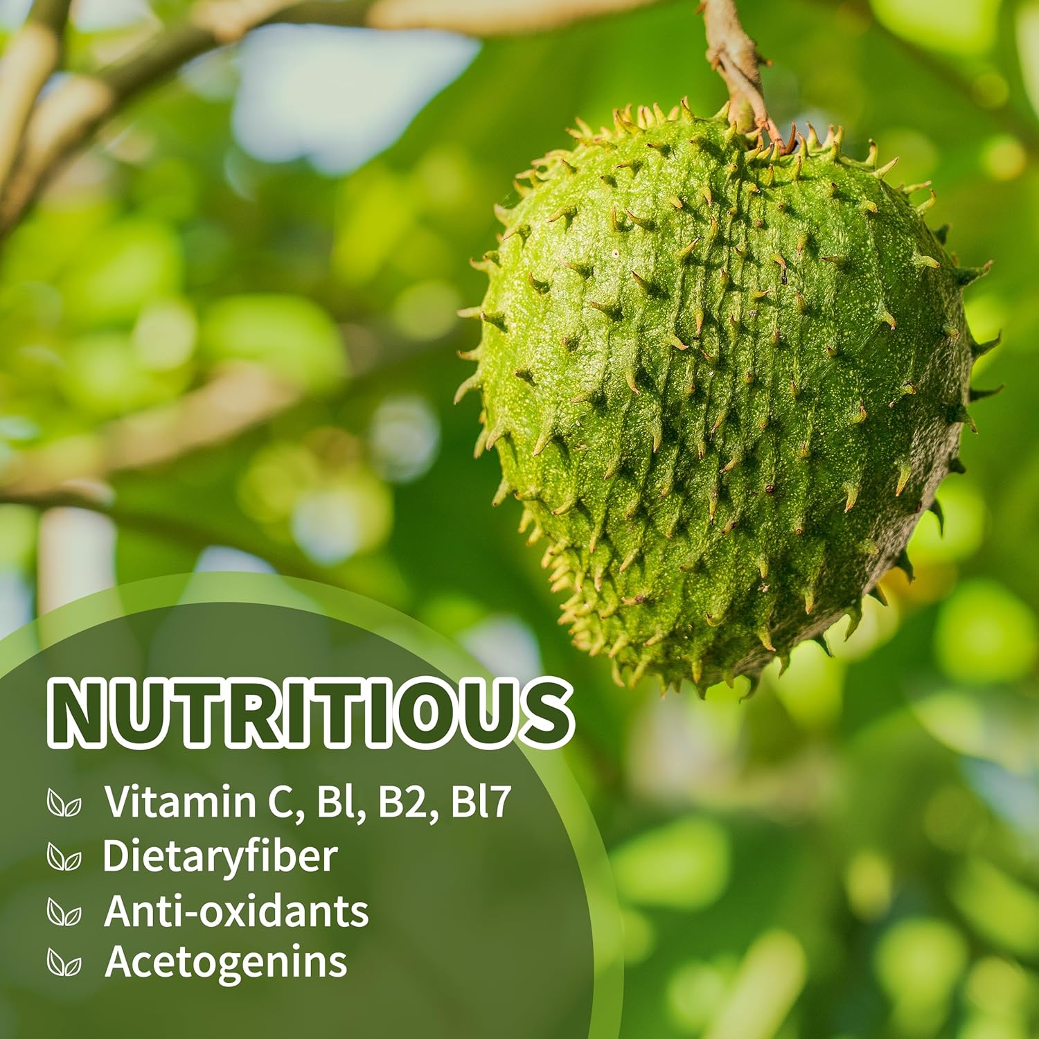 soursop-graviola-liquid-drops-2000mg-2-pack-for-cell-support-immune-boost---herbal-goodness-98-absorption-liver-health---natural-flavor-4-fl-oz-6