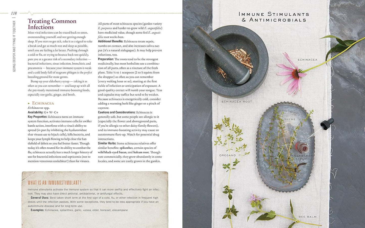 herbal-guide-to-holistic-self-care-for-achieving-body-balance-13