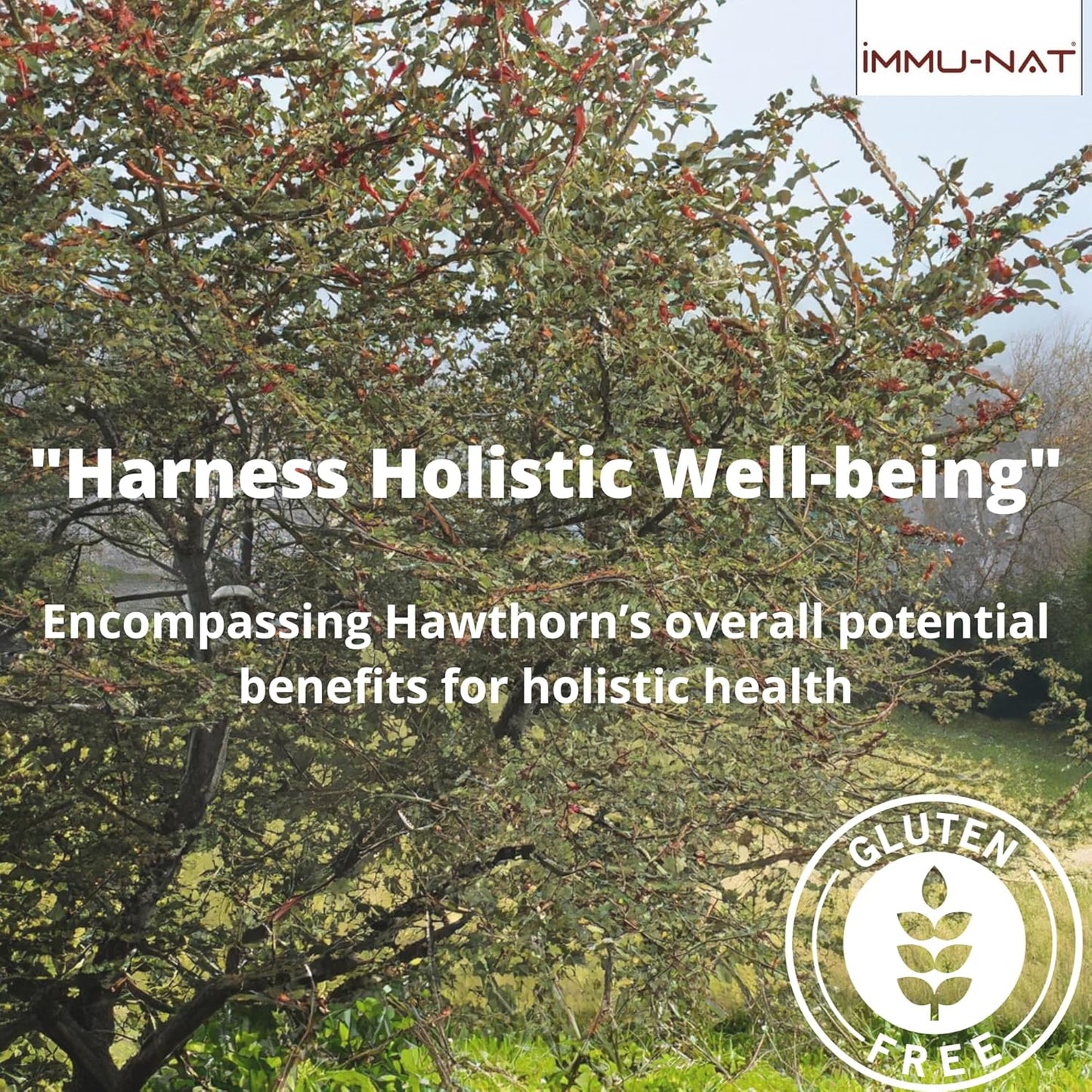 hawthorn-berry-liquid-supplement-for-cardiovascular-support---immune-boosting-formula-for-blood-pressure-85oz-6