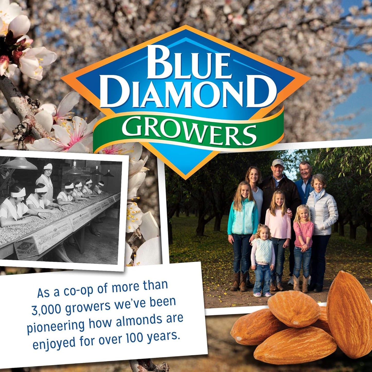 48-oz-blue-diamond-almonds-almond-flour-gluten-free-blanched-finely-sifted-9