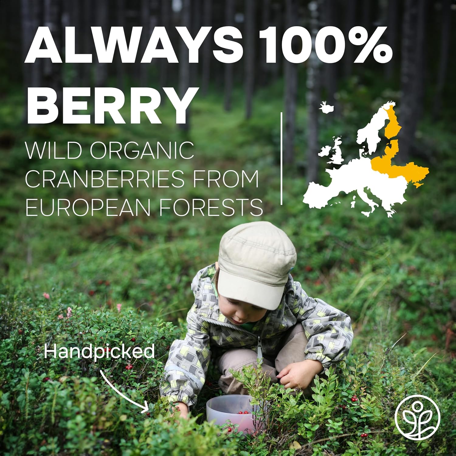 Organic Wild Cranberry Powder - 5 Ounces, USDA Certified Freeze Dried Superfood Extract from Whole Berries for Baking, Smoothies, Flavoring - Additive Filler Free - Espot.com.au