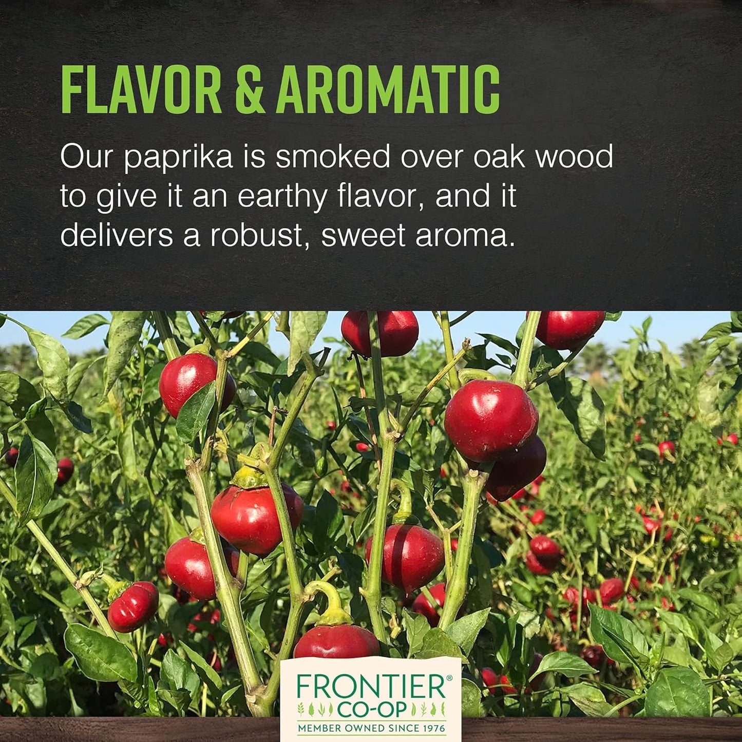 organic-smoked-paprika-powder-seasoning---1lb-bulk-bag-for-restaurants---spanish-paprika---frontier-co-op-5