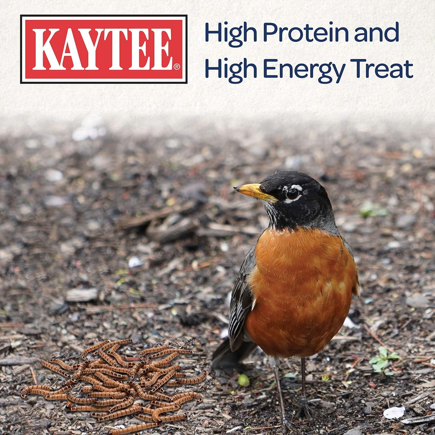 kaytee-wild-bird-food-mealworms-for-bluebirds-wrens-robins-chickadees-woodpeckers-cardinals-and-chickens---35-oz-6