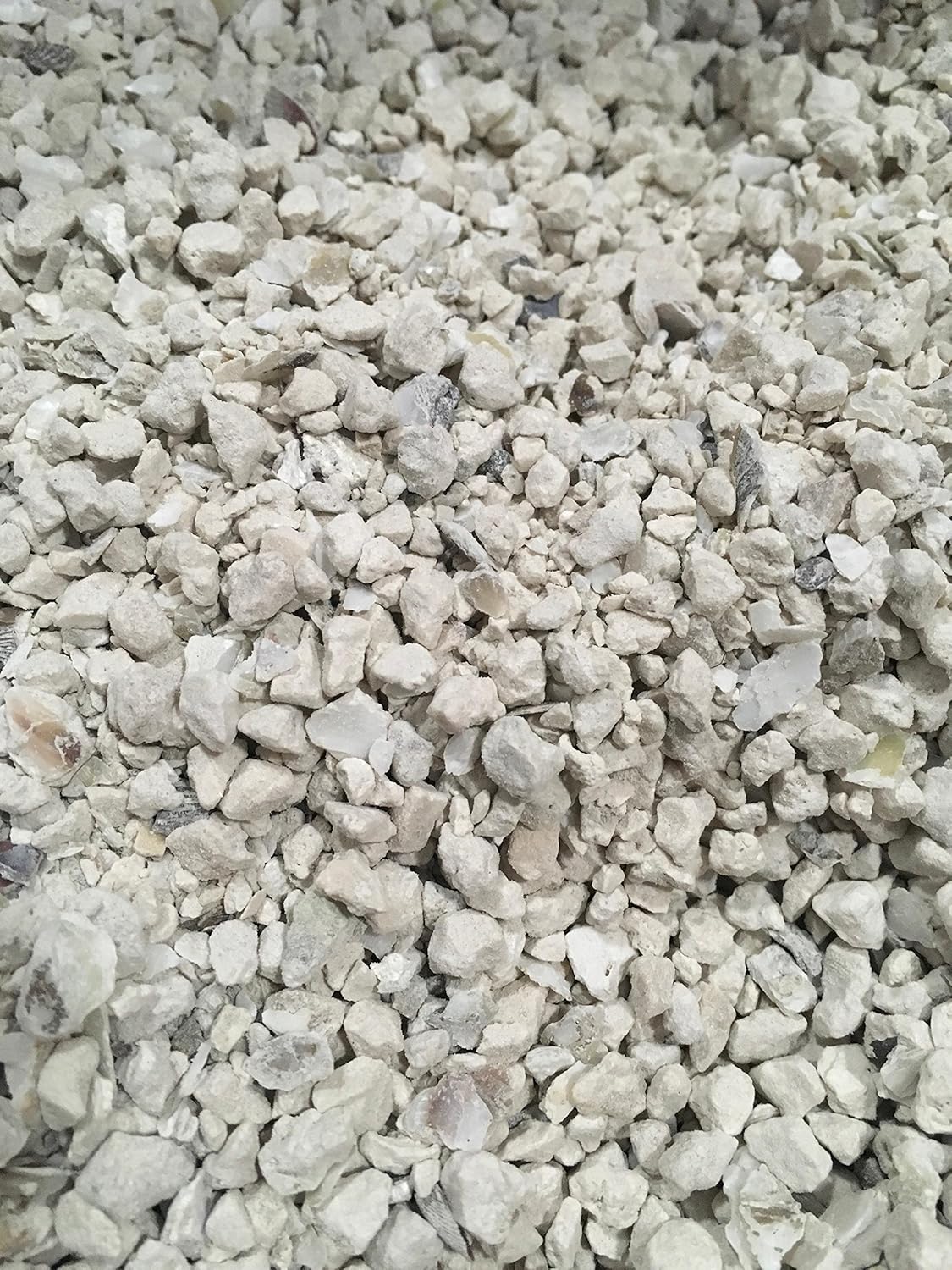 8-lb-natural-crushed-oyster-shell-with-calcium-by-four-winds-trading---perfect-for-gardening-and-poultry-care-3