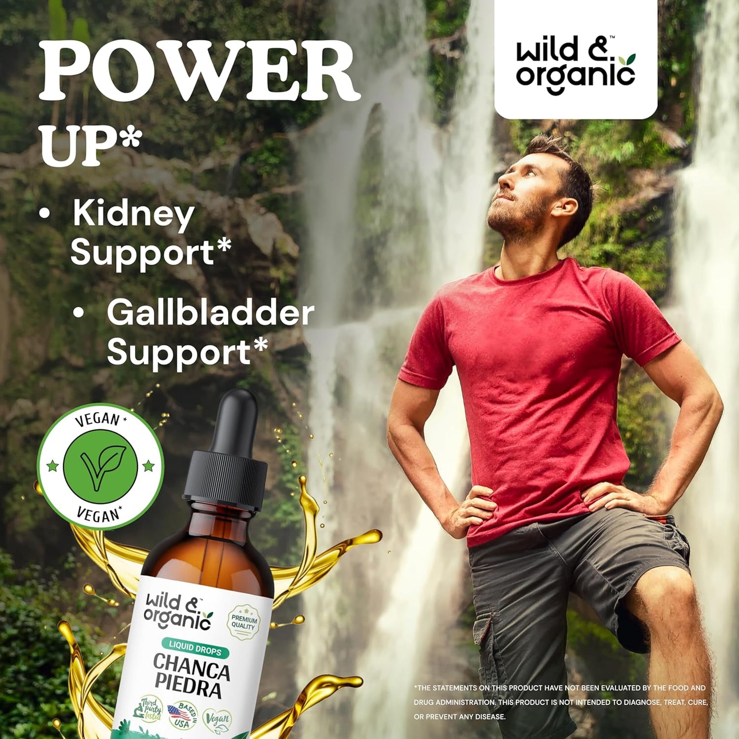 organic-chanca-piedra-liquid-extract-drops---kidney-stone-gallbladder-support---herbal-tincture-for-urinary-health---vegan-alcohol-free---2-fl-oz-2