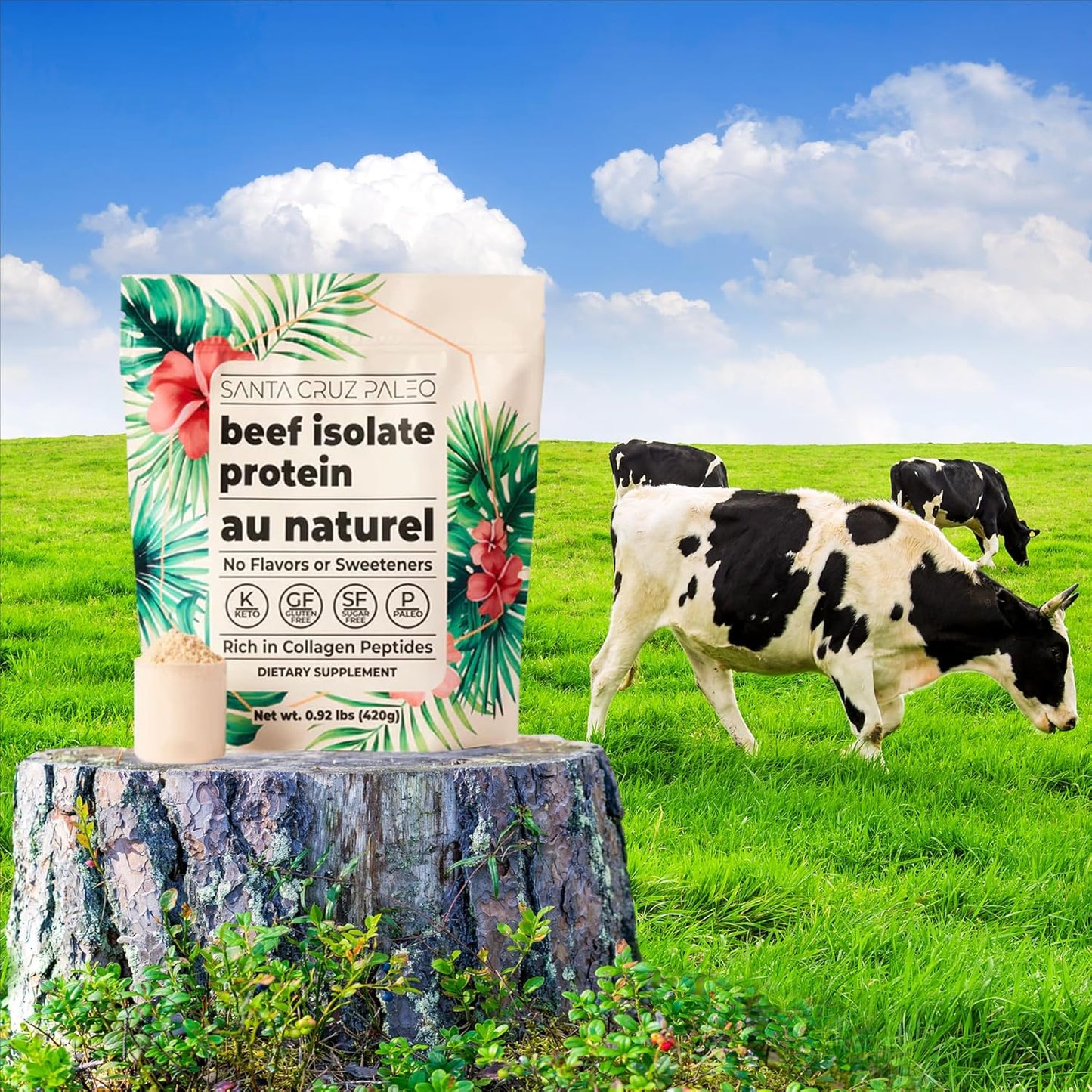 santa-cruz-grass-fed-paleo-beef-isolate-protein-powder---rich-in-collagen-peptides---gluten-free-keto-and-sugar-free---20g-protein-per-serving---low-calorie-clean-powder---116-lb-2