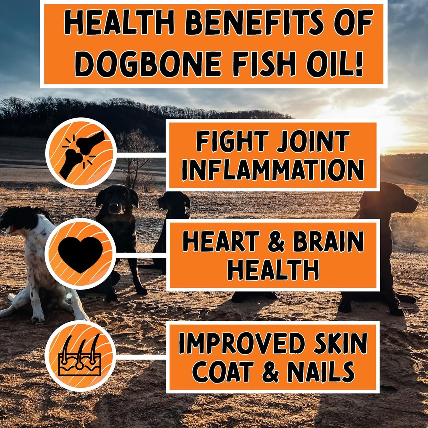 32-oz-dogbone-salmon-oil-for-dogs-omega-3-joint-supplement-vitamins-supplements-wild-alaskan-fish-oil-for-skin-coat-3