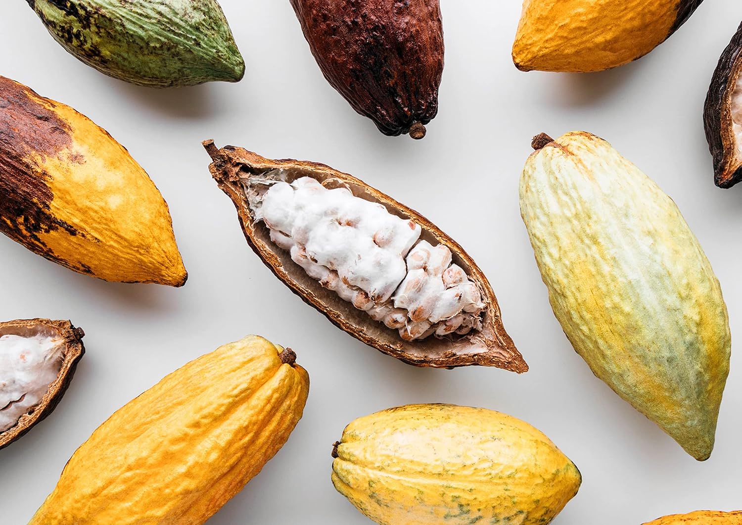 organic-cacao-paste-1lb---non-gmo-kibbled-wafers-bars-pure-unrefined-keto-vegan-bulk-rich-in-fiber-copper-manganese-sirtfood-7