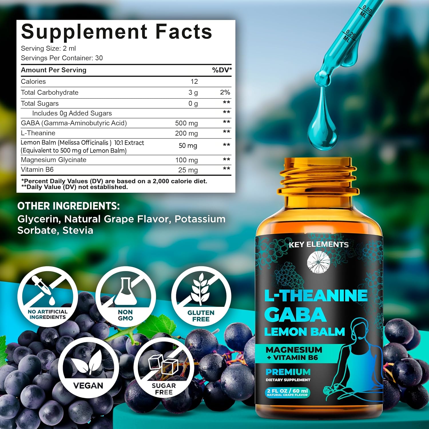liquid-gaba-and-l-theanine-supplement-with-lemon-balm-magnesium-and-vitamin-b6---calming-gaba-500mg-and-l-theanine-200mg-drops-5