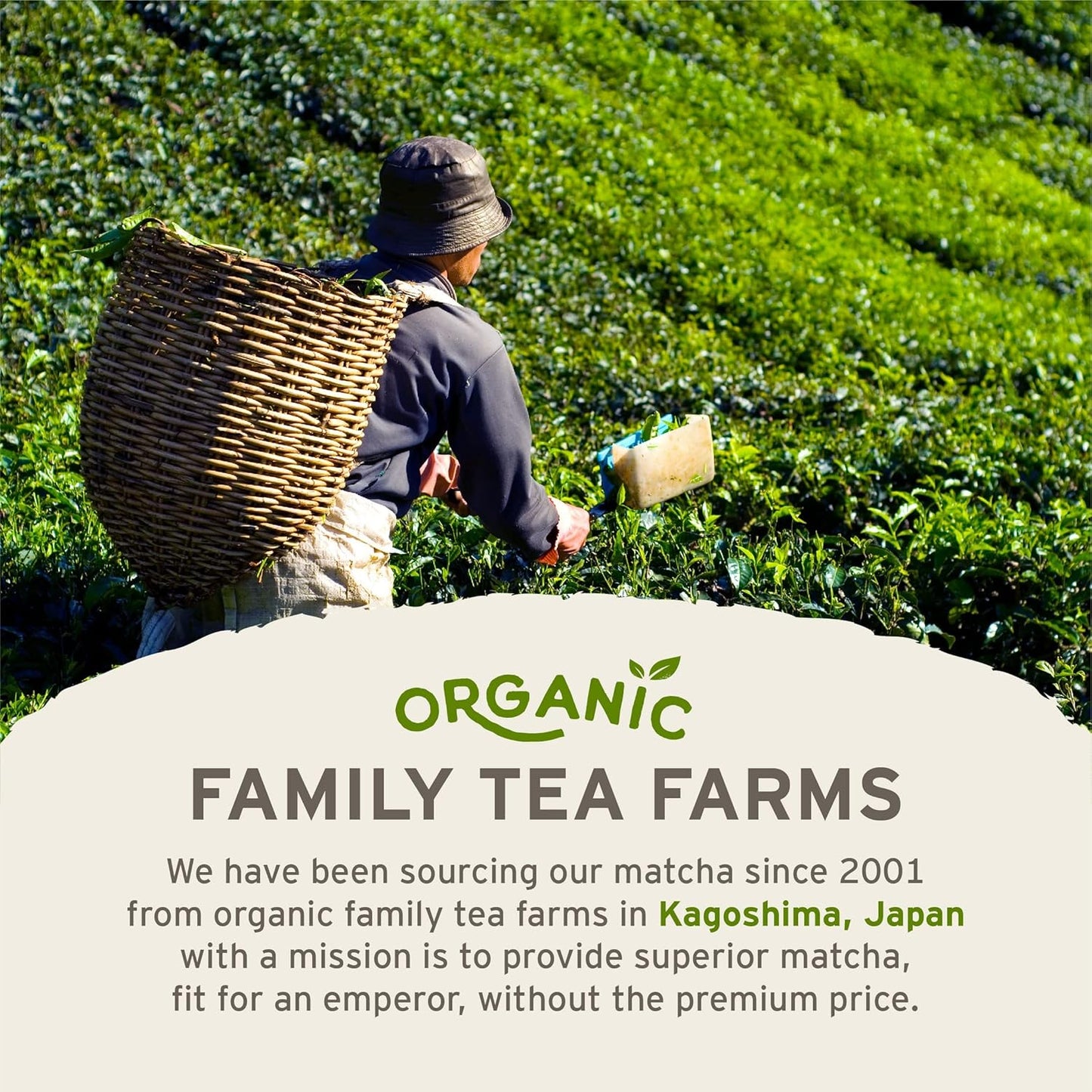 Organic SENCHA Naturals Emperor's Matcha - Premium Grade Ceremonial Matcha Powder for Tea Ceremony - Espot.com.au