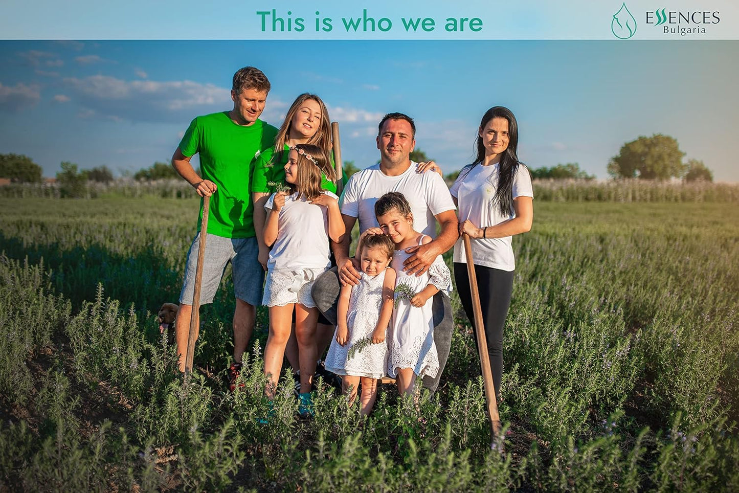 forest-magic-organic-essential-oils-set---scotch-pine-juniper-silver-fir---100-pure-natural---therapeutic-grade---non-gmo---family-owned-farm---3x-034-fl-oz-9