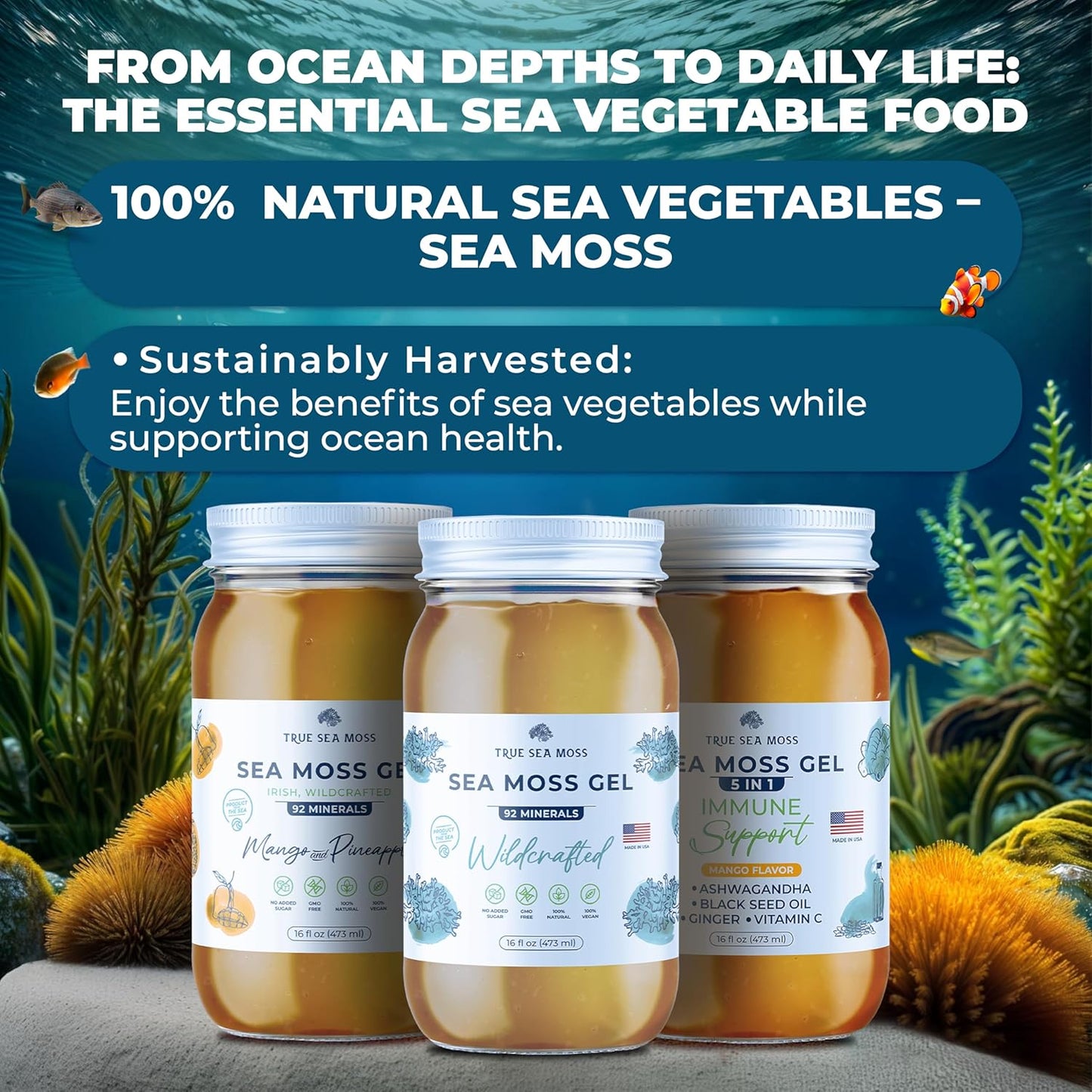 wildcrafted-irish-sea-moss-gel---vegan-antioxidant-from-dried-seaweed---supports-digestion---made-in-usa---original-pack-of-1-2