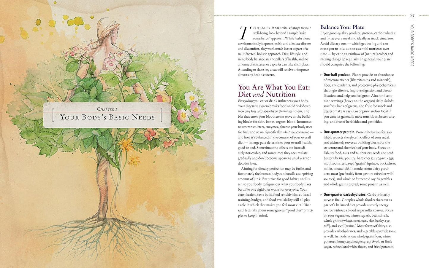 herbal-guide-to-holistic-self-care-for-achieving-body-balance-10