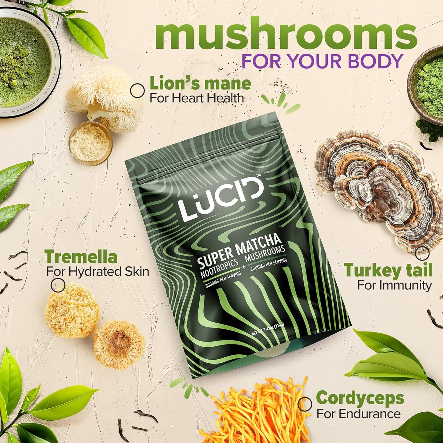 organic-mushroom-matcha-with-nootropics-for-focus-and-brain-health---lions-mane-tremella-cordyceps-turkey-tail---alpha-gpc-l-theanine-ginko-biloba---usa-made-4