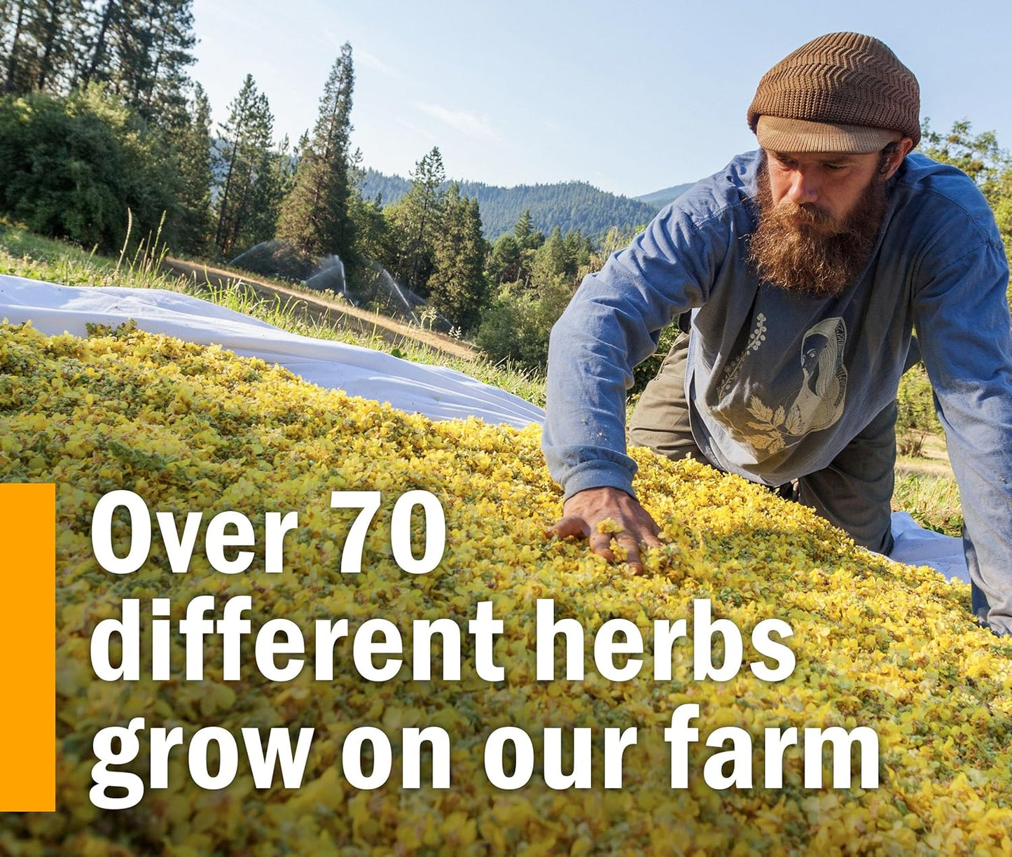 herb-pharm-stress-manager-liquid-herbal-formula-with-rhodiola-and-holy-basil-extract---4-oz---natural-stress-relief-supplement-10