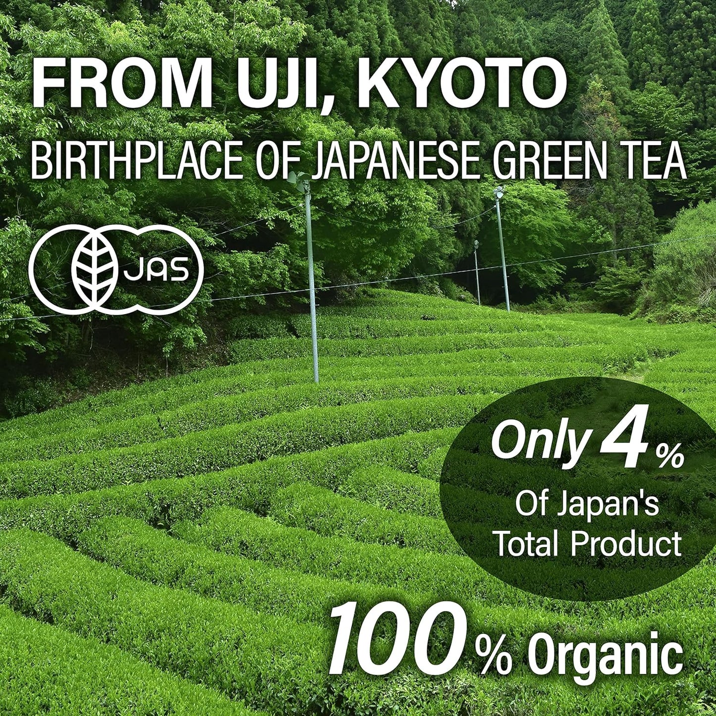 organic-japanese-green-tea-sencha-loose-leaf---500g-bag-by-chaganju---jas-certified-bulk-purchase-available-5