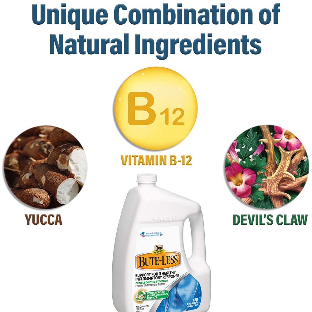 Absorbine Bute-Less 1 Gallon Solution - Joint Support Supplement for Horses