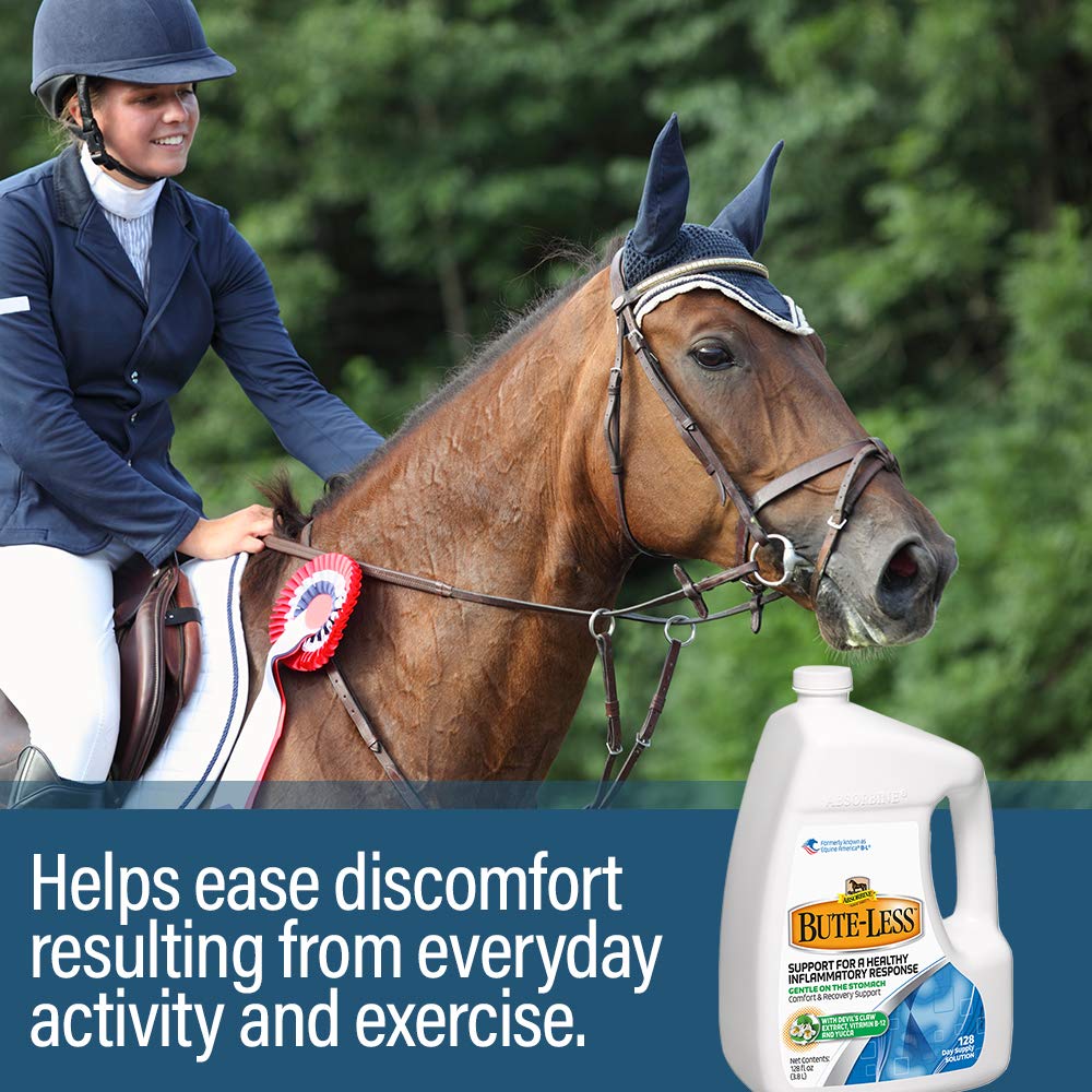 Absorbine Bute-Less 1 Gallon Solution - Joint Support Supplement for Horses