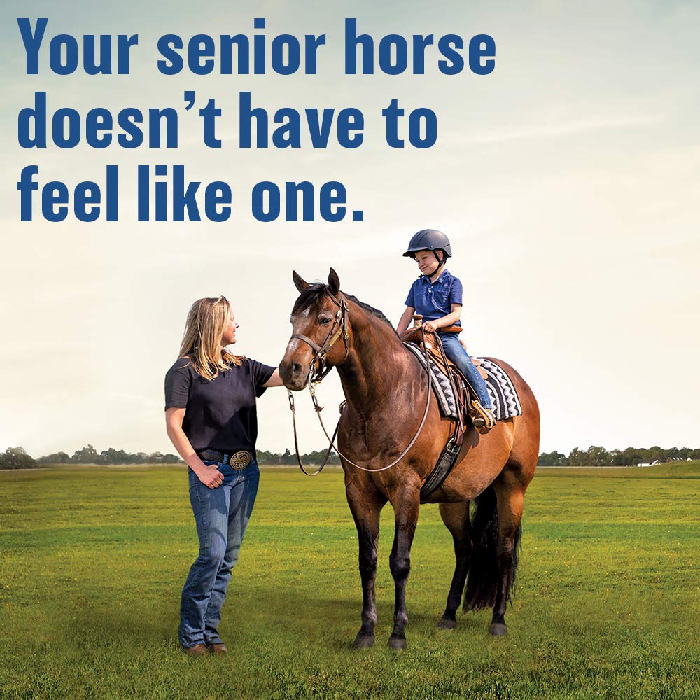 Absorbine Bute-Less 1 Gallon Solution - Joint Support Supplement for Horses
