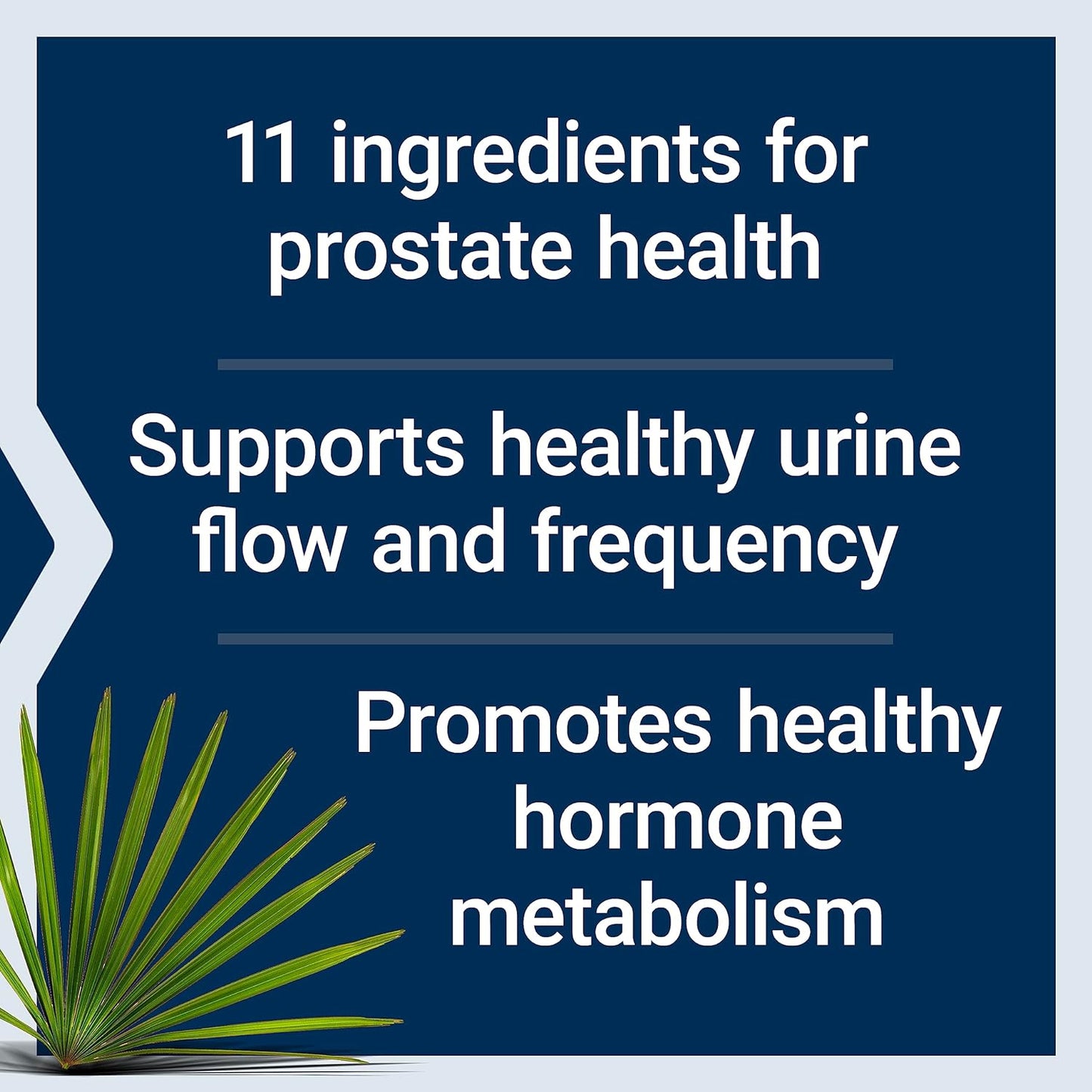 Advanced Men's Health Supplement with Super Ubiquinol CoQ10, Shilajit, Saw Palmetto, Pygeum, Nettle Root & Lycopene