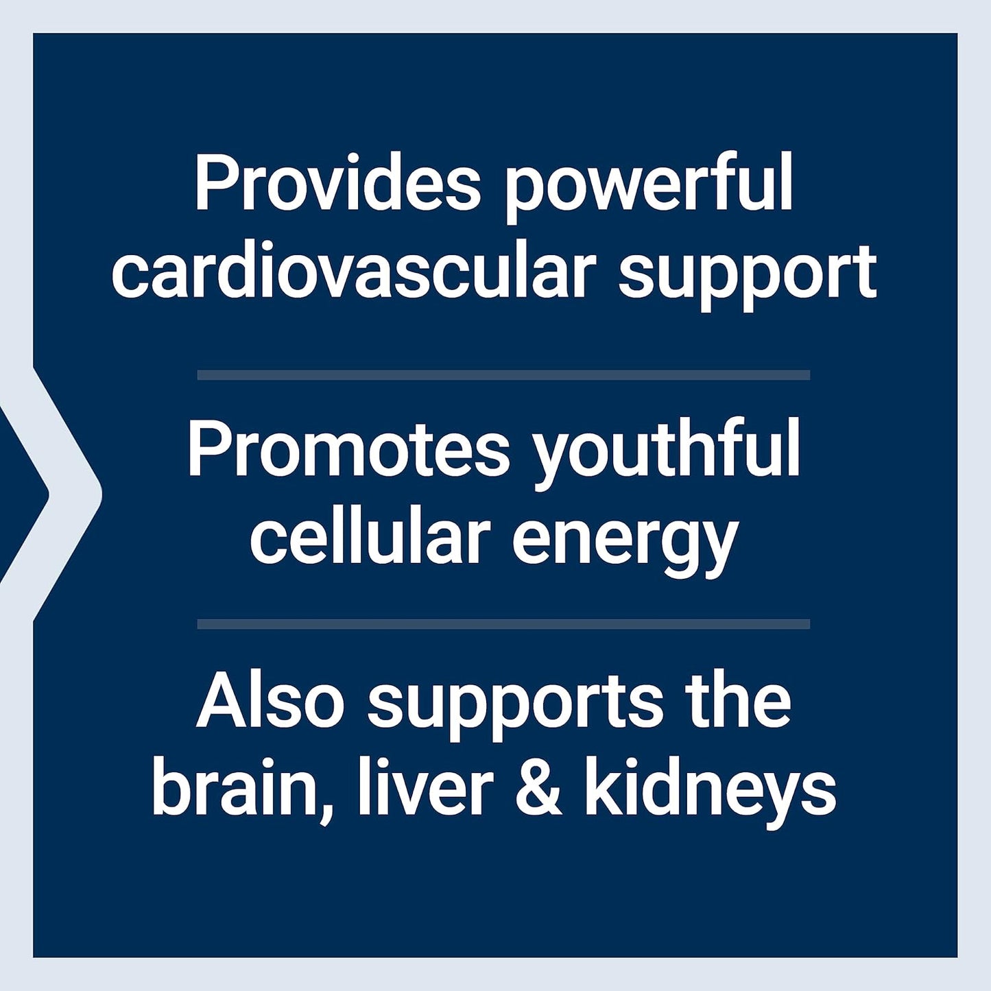 Advanced Omega-3 Fish Oil with CoQ10 and Antioxidants for Enhanced Mitochondrial Support