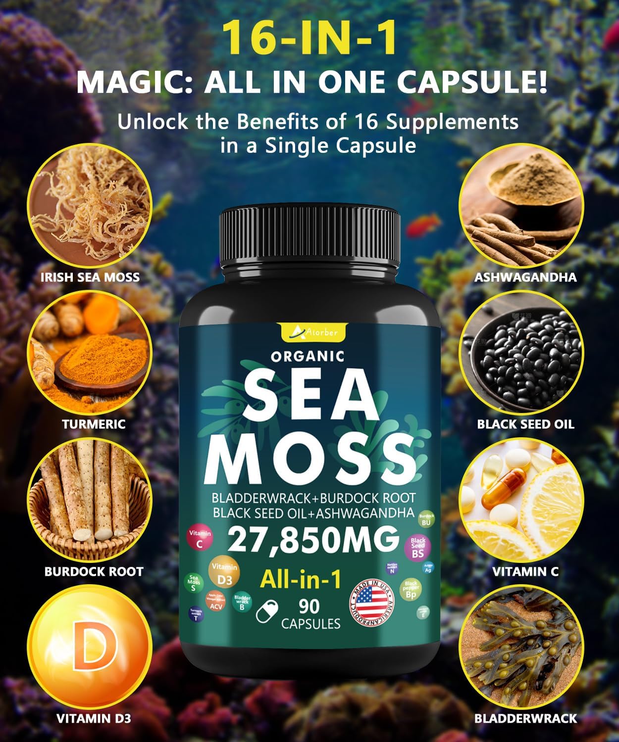Advanced Sea Moss Capsules with Black Seed Oil, Aşhwagandha, Ginger, Vitamin C, Bladderwrack, Elderberry - 90 Tablets, 2 Pack