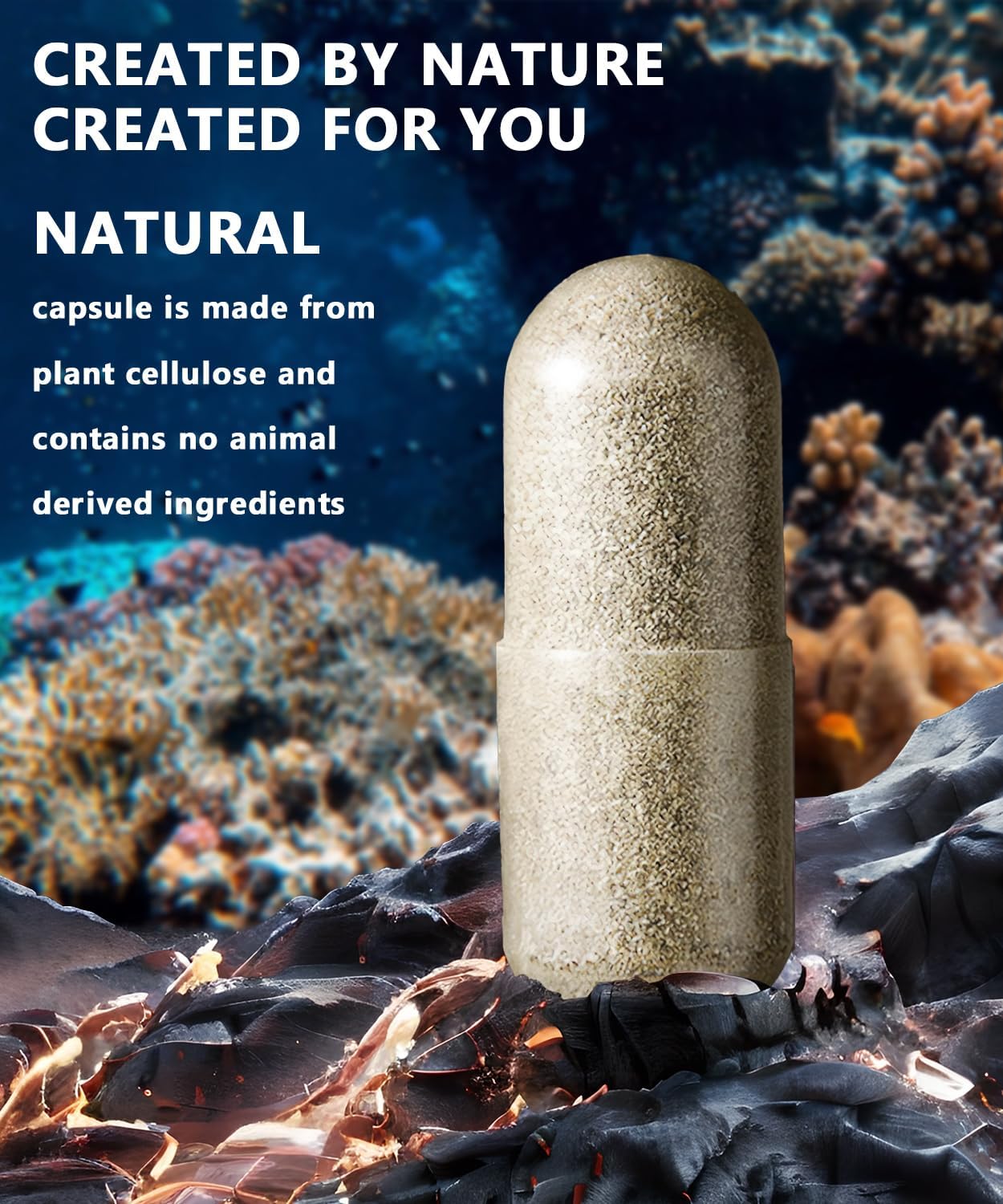 Advanced Sea Moss Capsules with Black Seed Oil, Aşhwagandha, Ginger, Vitamin C, Bladderwrack, Elderberry - 90 Tablets, 2 Pack