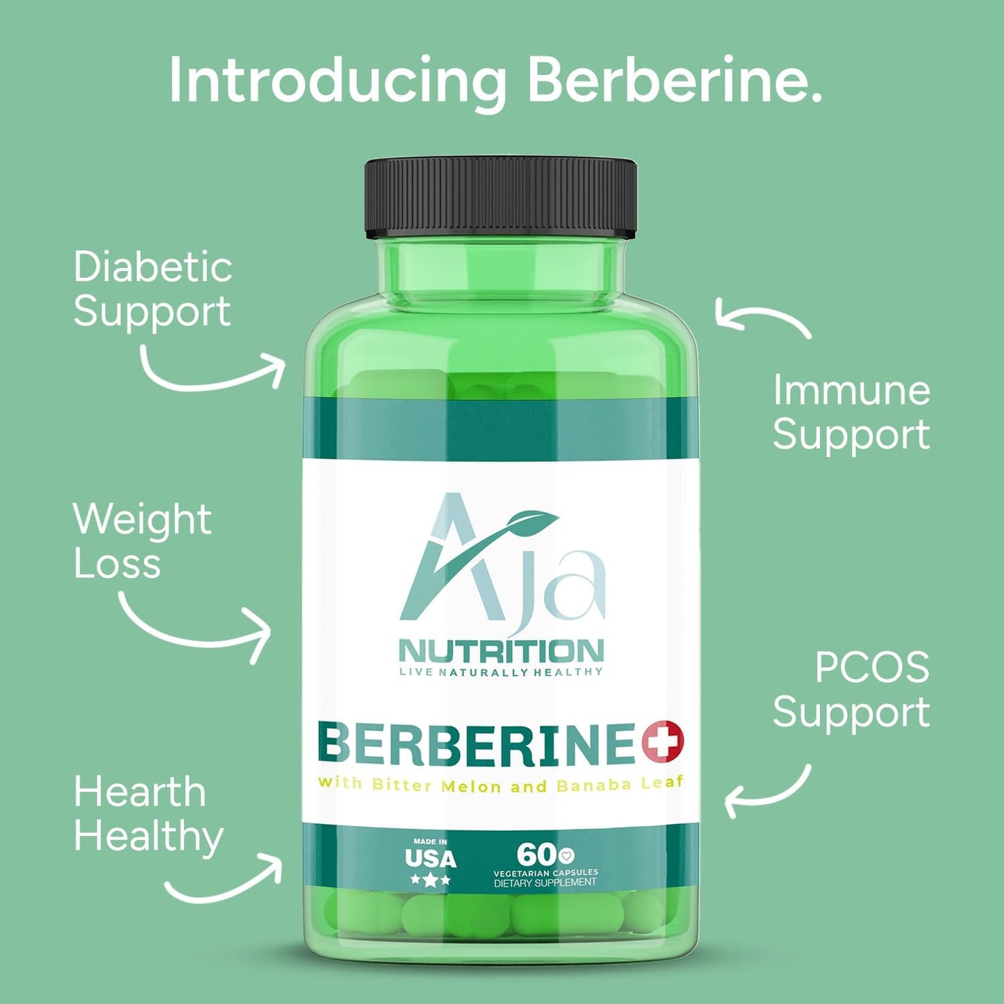 Aja Nutrition Berberine + Banaba Leaf and Bitter Melon Multivitamin - Comprehensive Antioxidant Support (60 Servings)