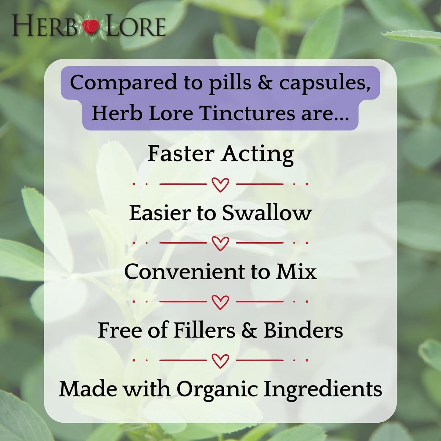 Alcohol-Free Organic Alfalfa Leaf Tincture for Pregnancy, Lactation & Wellness Support - 2 fl oz