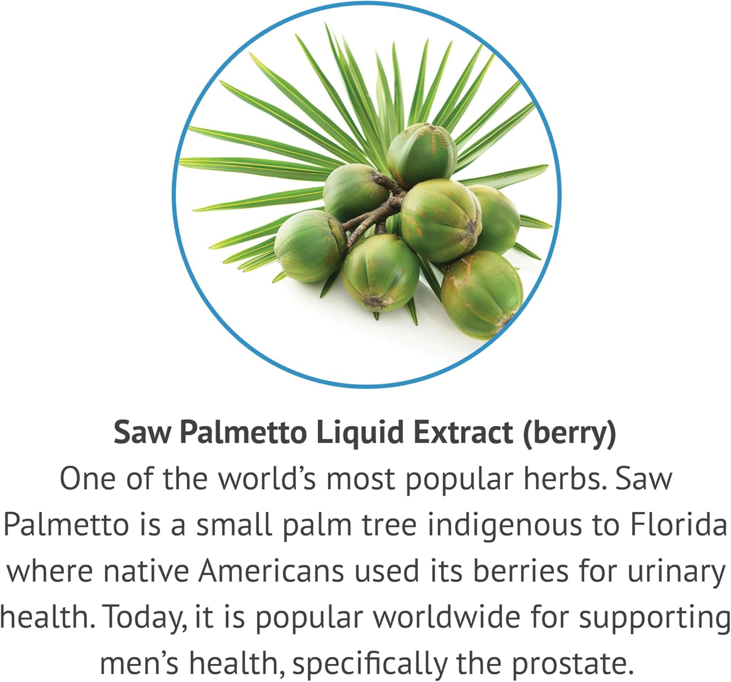 Alcohol-Free Saw Palmetto Berry Liquid Extract - 1 oz Bottle